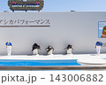 鴨川シーワールドのアシカショー 143006882