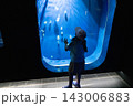 水族館でクラゲを観察する女の子 143006883