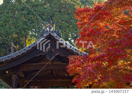 紅葉に包まれた鐘楼 紅葉に包まれた鐘楼 143007157