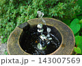 新緑の公園の水飲み場から勢いよく噴き出す冷たい水 143007569