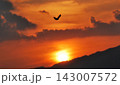 ドラマチックな夕焼け空を大きく羽ばたく鳥のシルエットと夕日 143007572