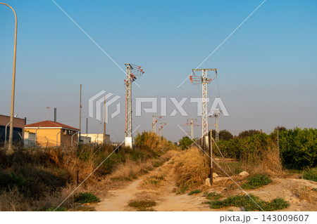 Dry cut vegetation pile in nature with electricity pylons in the background Dry cut vegetation pile in nature with electricity pylons in the background 143009607