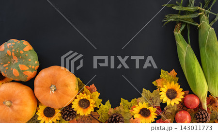 Autumn composition with pumpkins, wheat and berries for Thanksgiving Day on light black background. Still life background with empty copy space. Autumn composition with pumpkins, wheat and berries for Thanksgiving Day on light black background. Still life background with empty copy space. 143011773