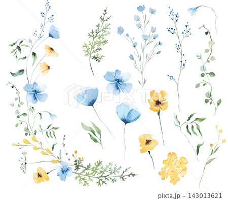 Floral clipart bouquet with blue and yellow watercolor wildflower, isolated wedding illustration Floral clipart bouquet with blue and yellow watercolor wildflower, isolated wedding illustration 143013621