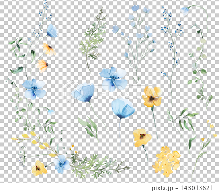 Floral clipart bouquet with blue and yellow watercolor wildflower, isolated wedding illustration Floral clipart bouquet with blue and yellow watercolor wildflower, isolated wedding illustration 143013621