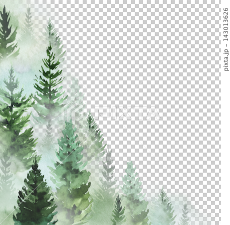 Hand drawn watercolor green spruce or pine tree misty forest, winter isolated illustration, copy space 143013626