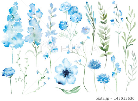 Watercolor light blue wildflowers clipart, botanical wedding stationery pastel floral set Watercolor light blue wildflowers clipart, botanical wedding stationery pastel floral set 143013630