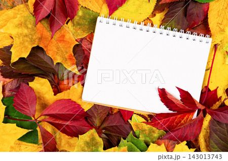 Blank Notebook on Colorful Autumn Leaves With a Mix of Red and Yellow Foliage on the Ground Blank Notebook on Colorful Autumn Leaves With a Mix of Red and Yellow Foliage on the Ground 143013743