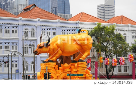 Golden Ox Statue Singapore Chinese New Year Celebration 143014359