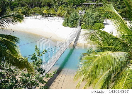 Tropical Beach Paradise Suspension Bridge White Sand Palms 143014597