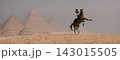 Powerful Arab horseman in white shirt and keffiyeh controls a rearing horse on the Giza plateau with all three ancient pyramids rising dramatically in 143015505