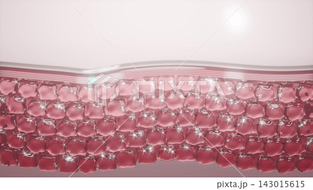 Skin restoration with serum Skin cell restoration layer diagram 3d render Skin restoration with serum Skin cell restoration layer diagram 3d render 143015615