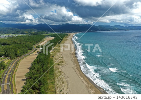 高知県黒潮町・入野海岸と松林・集落を望む空撮写真 143016545