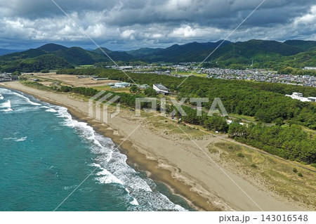 高知県黒潮町・入野海岸の砂浜と松林を捉えた空撮写真 高知県黒潮町・入野海岸の砂浜と松林を捉えた空撮写真 143016548