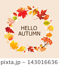 Autumn Banner And Autumn Leaves Vector Illustration 143016636