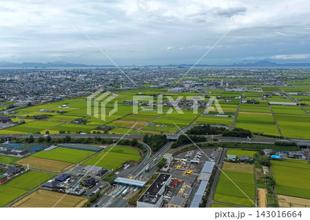 熊本県八代市の市街地・水田・湾を捉えた空撮写真 143016664