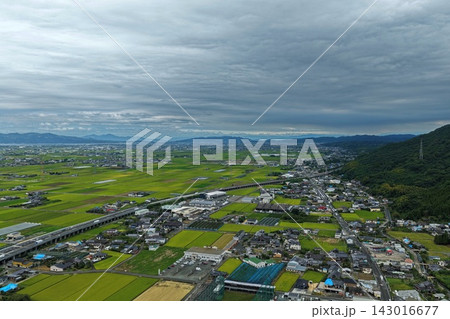 熊本県八代市の水田と住宅街を捉えた空撮写真 143016677