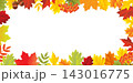 Autumn Banner And Autumn Leaves Border Vector Illustration 143016775