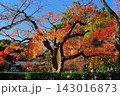 あだし野念仏寺（京都市右京区）境内の紅葉 143016873