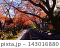 あだし野念仏寺（京都市右京区）境内の紅葉 143016880