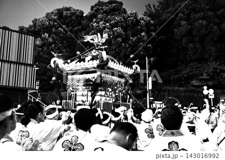 諏方神社例大祭の本社神輿渡御 東京 諏方神社例大祭の本社神輿渡御 東京 143016992