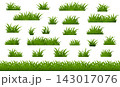 Green Bushes And Grass Set Vector Illustration 143017076