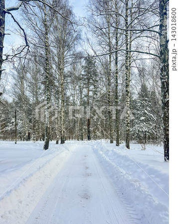 A beautiful snow-covered landscape. A sunlit, snow-covered forest path with frost-covered pine trees and snowdrifts. 143018600