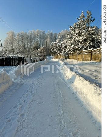 A beautiful snow-covered rural landscape. A sun-drenched, snow-covered trail with frost-covered pine trees and snowdrifts in the countryside. A beautiful snow-covered rural landscape. A sun-drenched, snow-covered trail with frost-covered pine trees and snowdrifts in the countryside. 143018658
