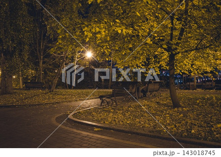 Park benches under yellow trees with fallen leaves at night Park benches under yellow trees with fallen leaves at night 143018745