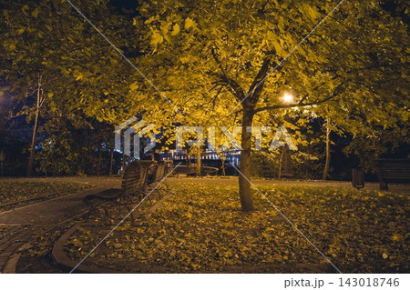 Person sitting on park bench under yellow autumn tree at night 143018746