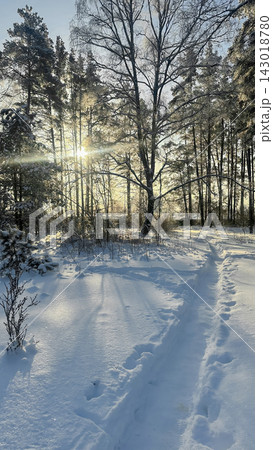 A beautiful snow-covered landscape. A sunlit, snow-covered forest path with frost-covered pine trees and snowdrifts. A beautiful snow-covered landscape. A sunlit, snow-covered forest path with frost-covered pine trees and snowdrifts. 143018780