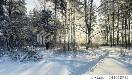 A beautiful snow-covered landscape. A sunlit, snow-covered forest path with frost-covered pine trees and snowdrifts. A beautiful snow-covered landscape. A sunlit, snow-covered forest path with frost-covered pine trees and snowdrifts. 143018782