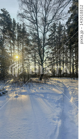 A beautiful snow-covered landscape. A sunlit, snow-covered forest path with frost-covered pine trees and snowdrifts. 143018812