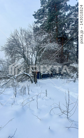 A beautiful snow-covered landscape. snow-covered forest path with frost-covered pine trees and snowdrifts. 143018824