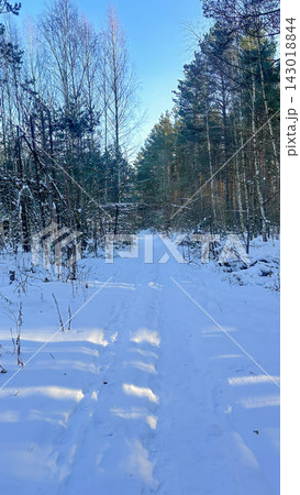 A beautiful snow-covered landscape. snow-covered forest path with frost-covered pine trees and snowdrifts. A beautiful snow-covered landscape. snow-covered forest path with frost-covered pine trees and snowdrifts. 143018844