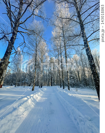 A beautiful snow-covered landscape. A sunlit, snow-covered forest path with frost-covered pine trees and snowdrifts. A beautiful snow-covered landscape. A sunlit, snow-covered forest path with frost-covered pine trees and snowdrifts. 143018863