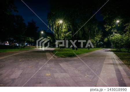 Paved walkway splitting into two paths in park at night 143018990