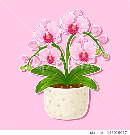 Cute houseplant orchid sticker illustration Cute houseplant orchid sticker illustration 143019087