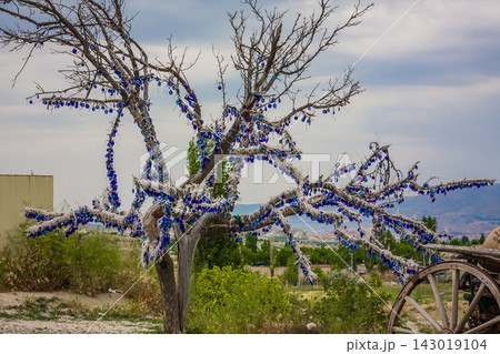 Leafless tree decorated with blue and white fabric ornaments Leafless tree decorated with blue and white fabric ornaments 143019104