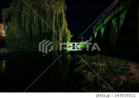 Weeping willow tree and concrete bridge over river at night 143019311