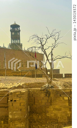 central Cairo. Sultan Hassan Mosque, Al-Rifai Mosque in Cairo, Egypt 143019372