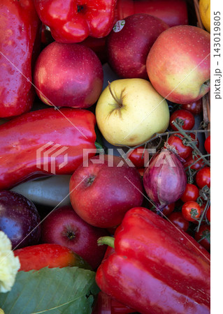 Colorful assortment of wet fresh peppers apples onions and assorted produce filling market crate in close up vertical composition with vivid reds yellows and natural texture Colorful assortment of wet fresh peppers apples onions and assorted produce filling market crate in close up vertical composition with vivid reds yellows and natural texture 143019805
