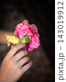Small child hand gently holding bright pink and yellow flowers in close up with soft shallow focus, delicate petals, tender touch, natural beauty, warm light, simple floral composition 143019912