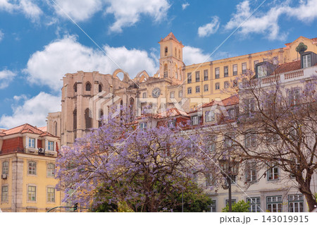 Carmo Convent and Blooming Jacaranda Trees in Lisbon, Portugal 143019915