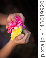 Child hands gently holding bright pink and yellow flowers against dark blurred background, close up vertical portrait showing softness, color contrast, tenderness, and natural beauty 143019920