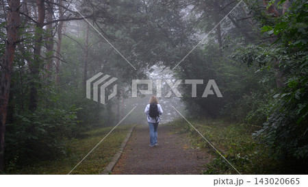 Woman with a backpack walking on a path in a foggy forest. Rear view of a female person exploring misty woods. Outdoor adventure and travel concept 143020665