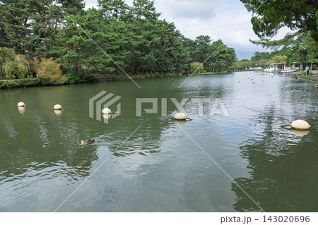 敷島公園　群馬県前橋市 143020696