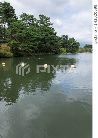 敷島公園　群馬県前橋市 143020699
