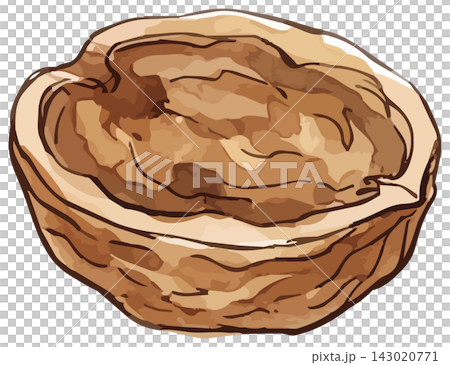 A mouthwatering illustration of walnuts A mouthwatering illustration of walnuts 143020771