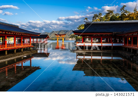 国宝・世界遺産 嚴島神社の朝風景【広島県廿日市市】 国宝・世界遺産 嚴島神社の朝風景【広島県廿日市市】 143021571